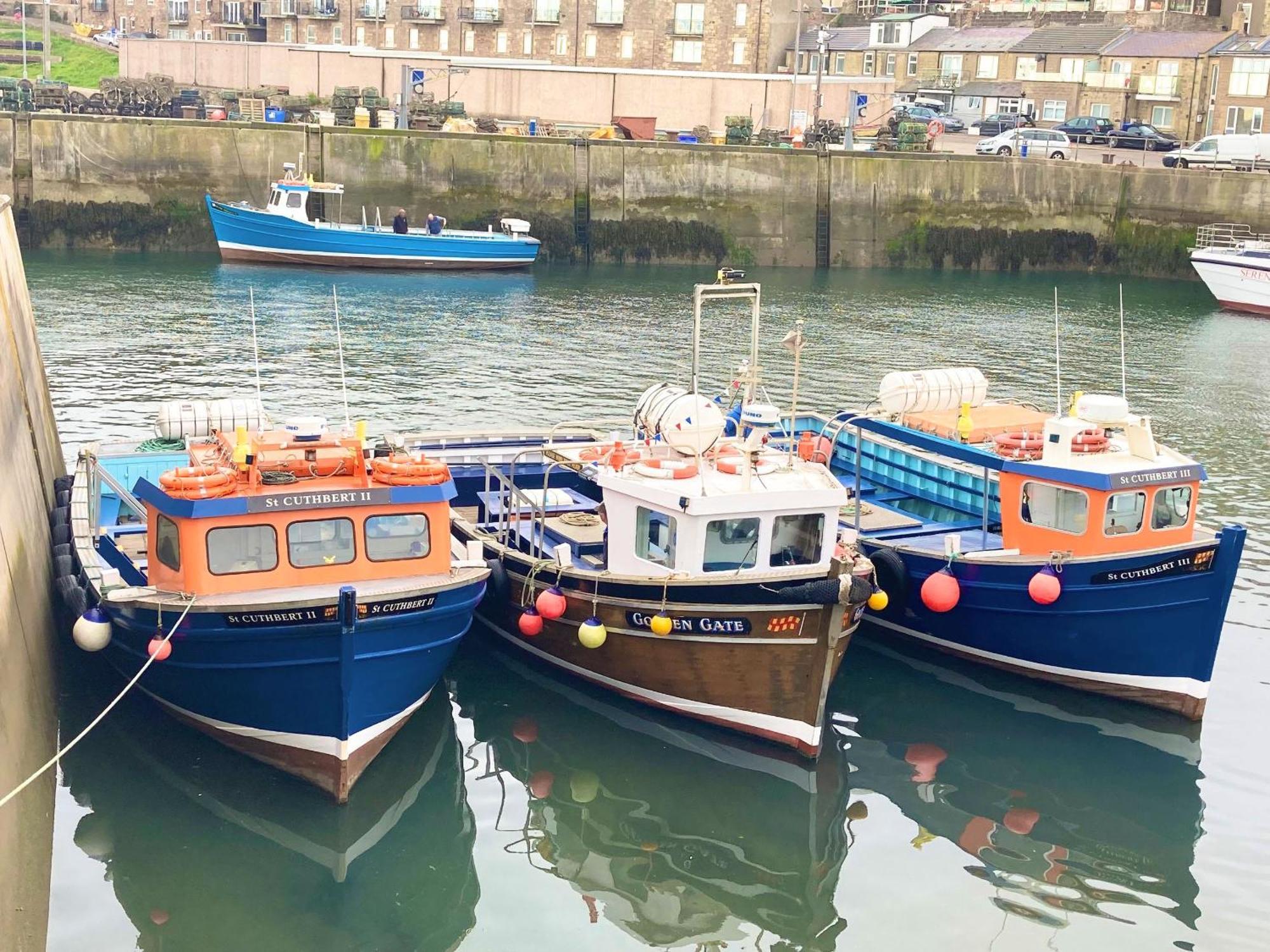 Dipper Cottage Seahouses Bagian luar foto