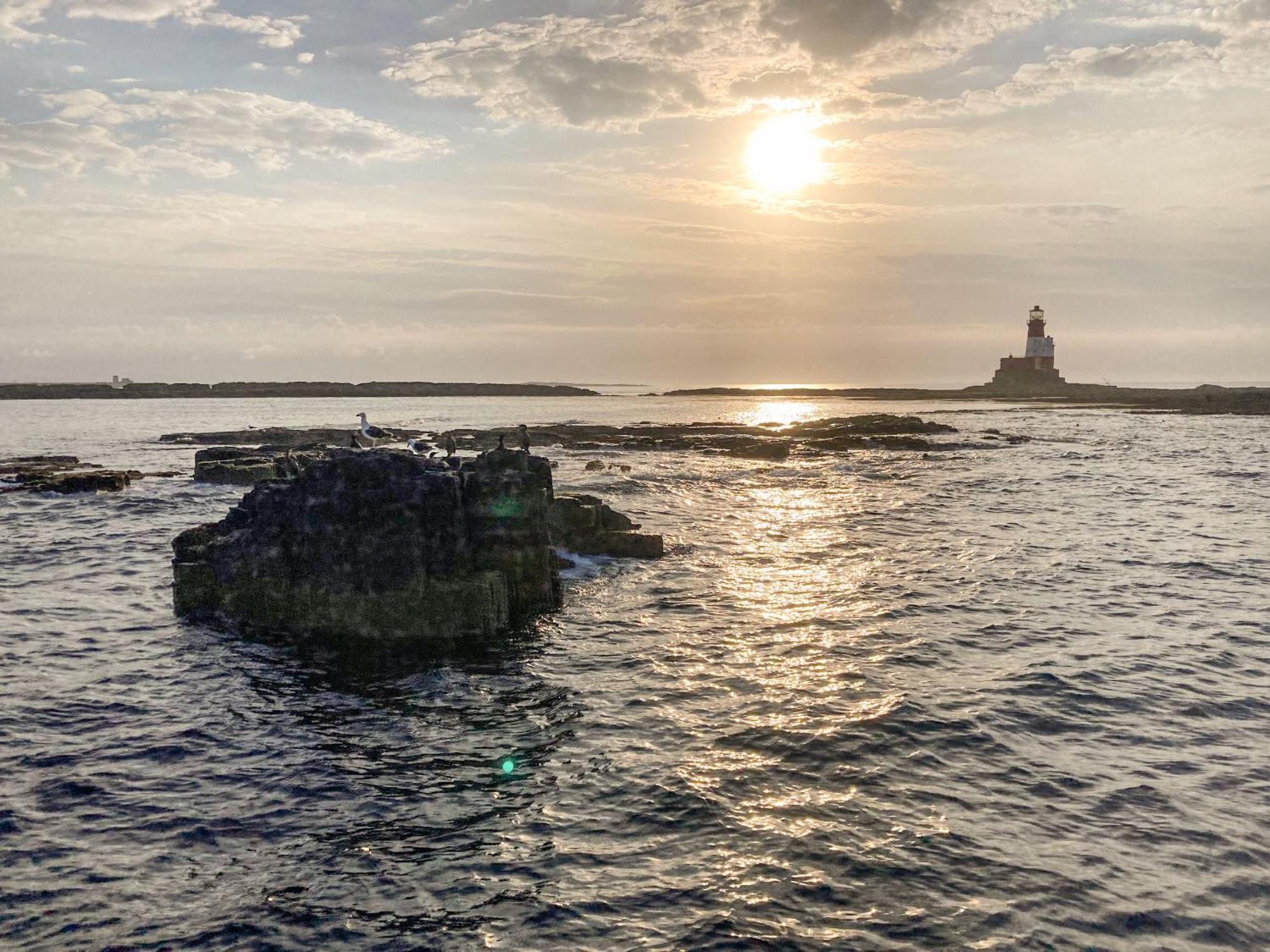 Dipper Cottage Seahouses Bagian luar foto